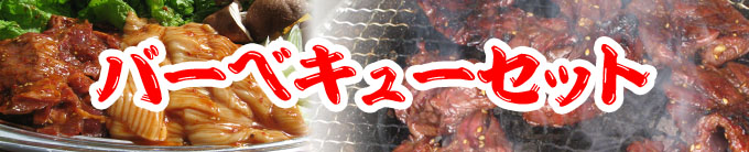 安田のお肉 バーベキューセット